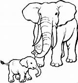 Coloring Pages Printable Elephant Elephants Visit Drawing Animal Print sketch template