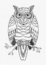 Coruja Owls Stencils Corujas Coloring Gambar Burung Buho Stencil Hantu Tatuaje Rama Búho Branch Pngwing Nicepng Bestcoloringpages sketch template