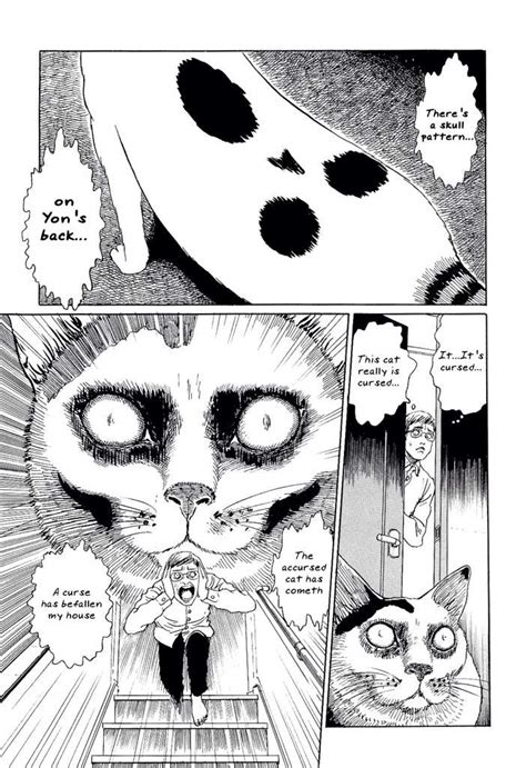 Ito Junji Cat Diary Wiki Anime Amino