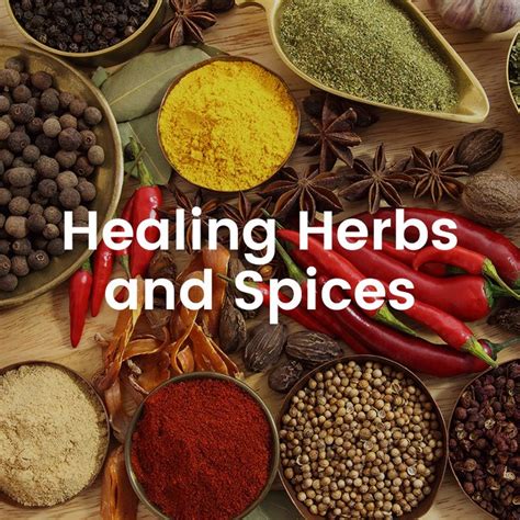 125 best healing herbs and spices images on pinterest healing herbs herbal medicine and