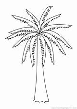 Coloring Palm Branch Getdrawings Branches sketch template