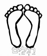 Feet Coloring Foot Toes Clipart Colour Pages Clip Torah Tots Library Ridiculously Natasha Hot Torahtots Webstockreview Template 2000 Inc sketch template