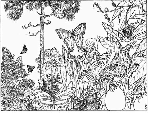 coloring pages nature  kids images colorist