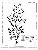 Ivy Coloring Leaf Leaves Printable Template Pages Drawing Plant Stencils Sheets Templates Color Wonderweirded Cut Crafts Wildlife Nature Clip Pree sketch template