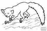 Mammals Drawing Getdrawings Coloring Pages sketch template