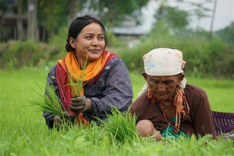 Chitwan Nepal 2 July 2020 Nepali Women Working In The Farmland From