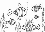 Coloring Fish Pages Rainbow Kids Comments sketch template