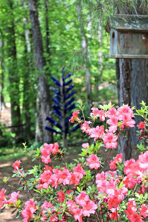 {mom S Garden} Blue Bottle Tree Southern State Of Mind