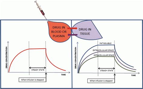 steady state principles basicmedical key