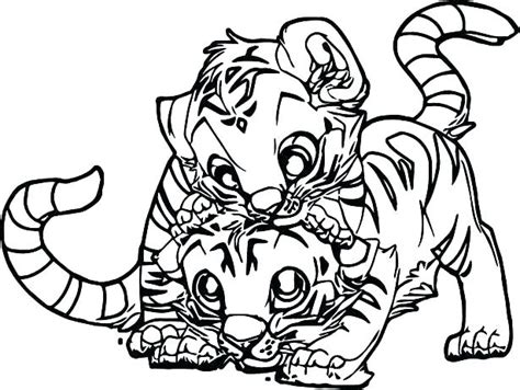 baby white tiger coloring pages  getdrawings
