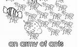 Collective Army Ants Colouring Coloring Ant Colony Nouns Pages Worksheet Verbs Worksheeto Noun Via Worksheets Print sketch template