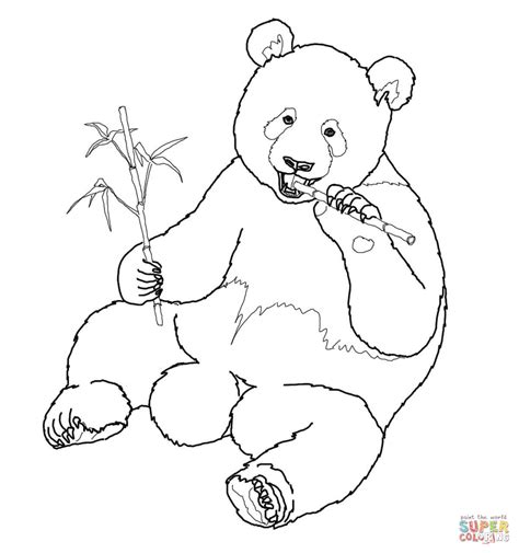 bamboo coloring page coloring home