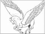Pegasus Coloring Pages Adults Library Clipart Line Getdrawings Getcolorings Popular sketch template