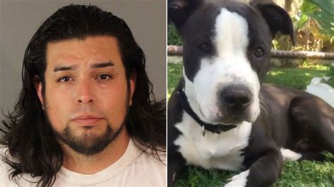Riverside Man Slashes Throat Of Neighbor S Pit Bull After It Attacked