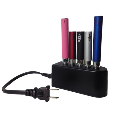 ego   battery multi charger