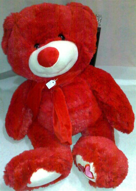 big teddy bears  valentines day funny animal