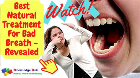 best natural treatment for bad breath revealed youtube