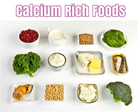 calcium rich foods foods high  calcium  include   diet