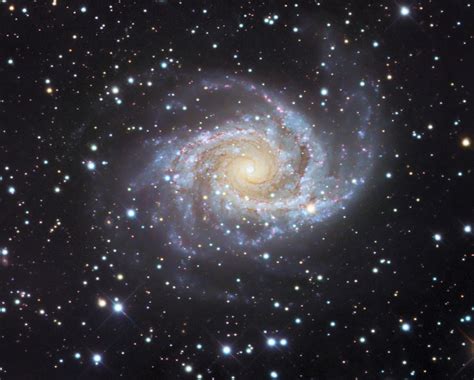 ngc   grand design spiral galaxy  antlia  research expose