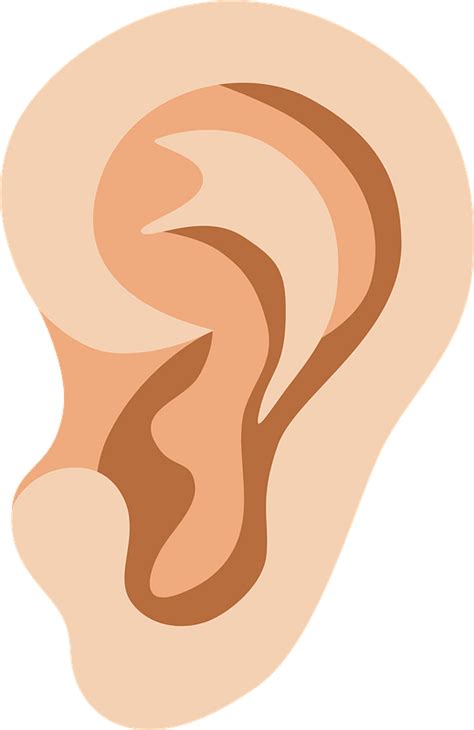 ear clipart   transparent png creazilla