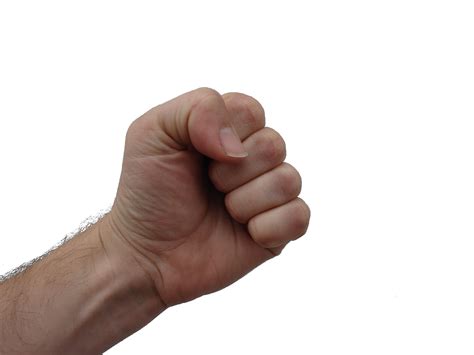 File Clenched Human Fist Png Wikipedia
