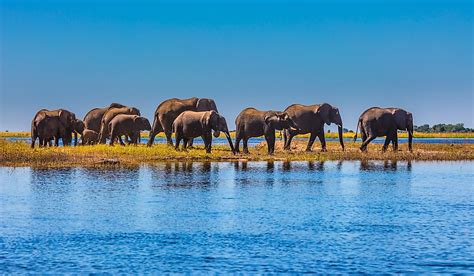 10 interesting and unique facts about botswana worldatlas