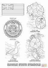 Coloring Hawaii State Pages Tree Symbols Hawaiis Printable Clipart Hawaiian Color Books Clipground Themed Flag Visit Crafts Luau Comments Supercoloring sketch template