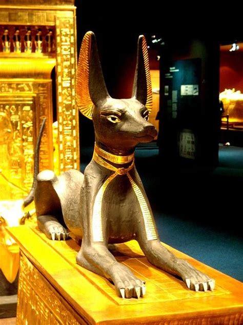 43 Best Images About Anubis On Pinterest Statue Of