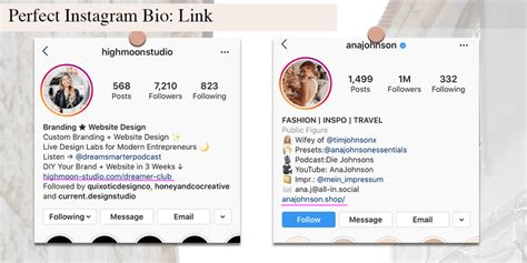 create  perfect instagram bio   steps laura arancibia