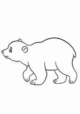 Bear Baby Indiaparenting Bears sketch template