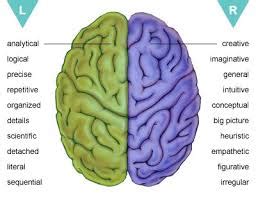 linker hersenhelft en hardlopen wat doet je linker hersenhelft