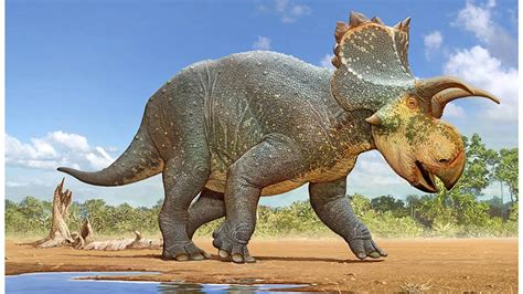 dinosaur species revealed   mexico scientists