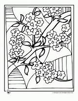 Blossom Colorat Primavara Toamna Blossoms Chinois Planse Inflorit Copaci Infloriti Ume Cires Colorier Cerisier Fleur Chine Fleurs Designlooter Popular Coloriages sketch template