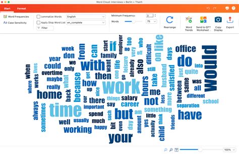 maxqda   manual word cloud visualize word frequencies