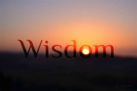 wisdom  god formed man   imperishable  imag flickr