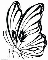 Butterfly Coloring Pages Printable Line Simple Drawing Monarch Butterflies Cocoon Colouring Cool2bkids Color Drawings Kids Clipart Clipartmag Easy Getcolorings Dazzling sketch template