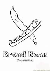 Coloring Bean Broad Vegetables Pages Beans Green Mr Printable Color Comments Getcolorings Broadbean Coloringhome sketch template