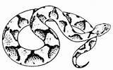 Snake Copperhead Viper Fmst Slidesharetrick 1405 sketch template