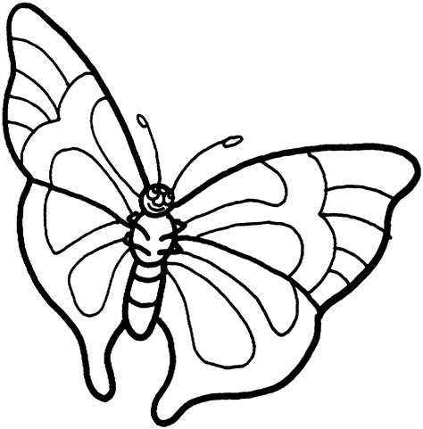 pic  butterfly simple  black  white  colouring  kindergarten