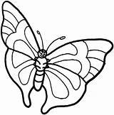 Butterfly Cartoon Library Clipart Coloring sketch template
