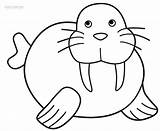Walrus Coloring Pages Kids Drawing Printable Cute Cool2bkids Clipart Color Preschool Cliparts Animal Animals Craft Clip Print Crafts Getcolorings Getdrawings sketch template