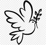 Colombe Merpati Doves Mewarna Burung Mewarnai Himpunan Ashgive Link Simbol Turun Muat Boleh Tren Siluet Segera Imej Dipetik sketch template