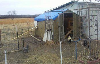 coop green house turned chicken house  images