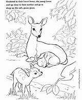 Coloring Pages Fall Animals Animal Popular sketch template
