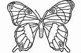Schmetterling Ausmalen sketch template