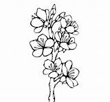 Flowers Country Coloring Coloringcrew Gif sketch template