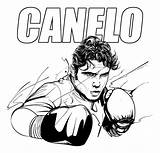 Boxing Canelo Alvarez Digital 14th Piece Artwork Uploaded March Which sketch template