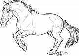 Mustang Coloring Rearing Horse Comments Stallion sketch template