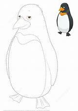Dotted Line Drawing Animal Color Trace Kids Penguin Tracing Draw Dashed Drawings Toddlers Dot Learn Colouring Bird Activities Supercoloring Result sketch template