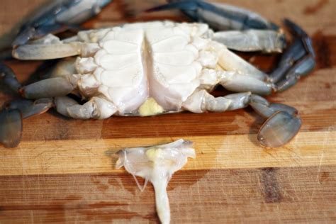 recipes  rachel rappaport   clean soft shell crabs